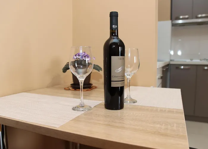 Apartment Luxury - With Balcony 12 And 12a Skopje